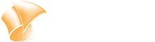 Günstiges Website-Design